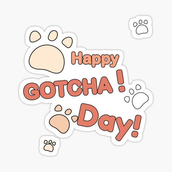 Happy Gotcha Day 