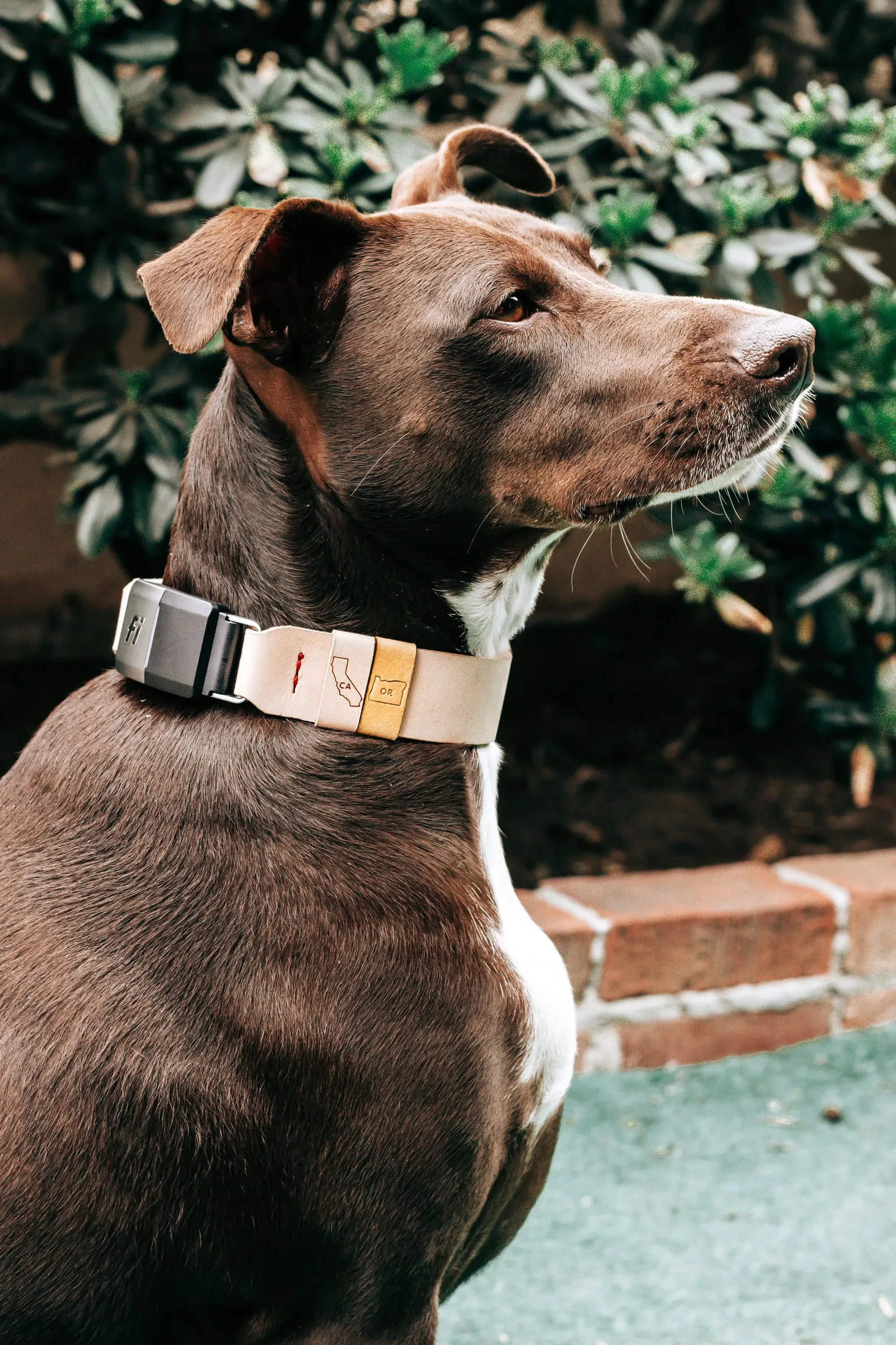 New Maker Alert: Jax & Moonie