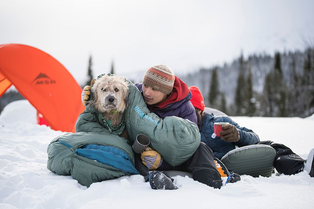 Winter camping with your dog