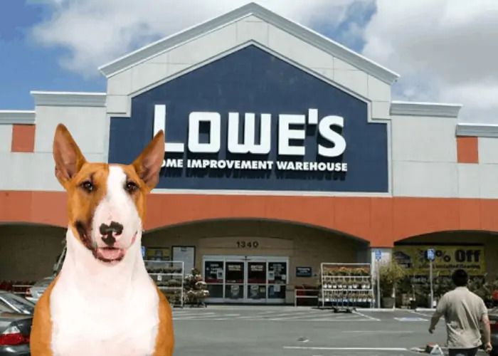 Are Dogs Allowed in Lowe's Store