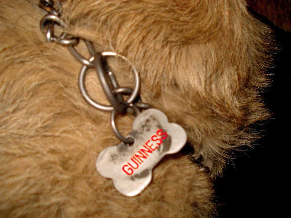 how to attach a dog tag to a collar