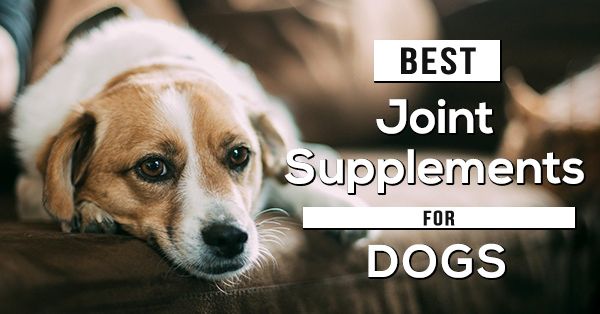 Dogs Joint supplements 