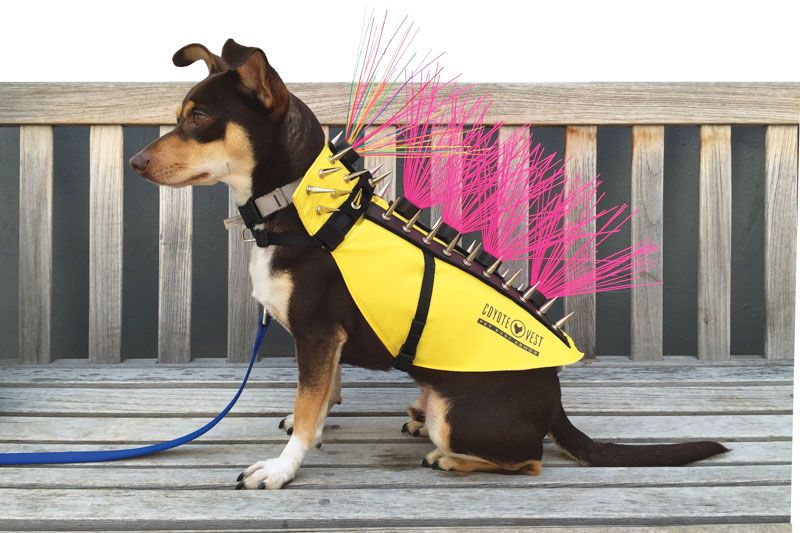  CoyoteVest Dog Harness Protection Vest, Reflective