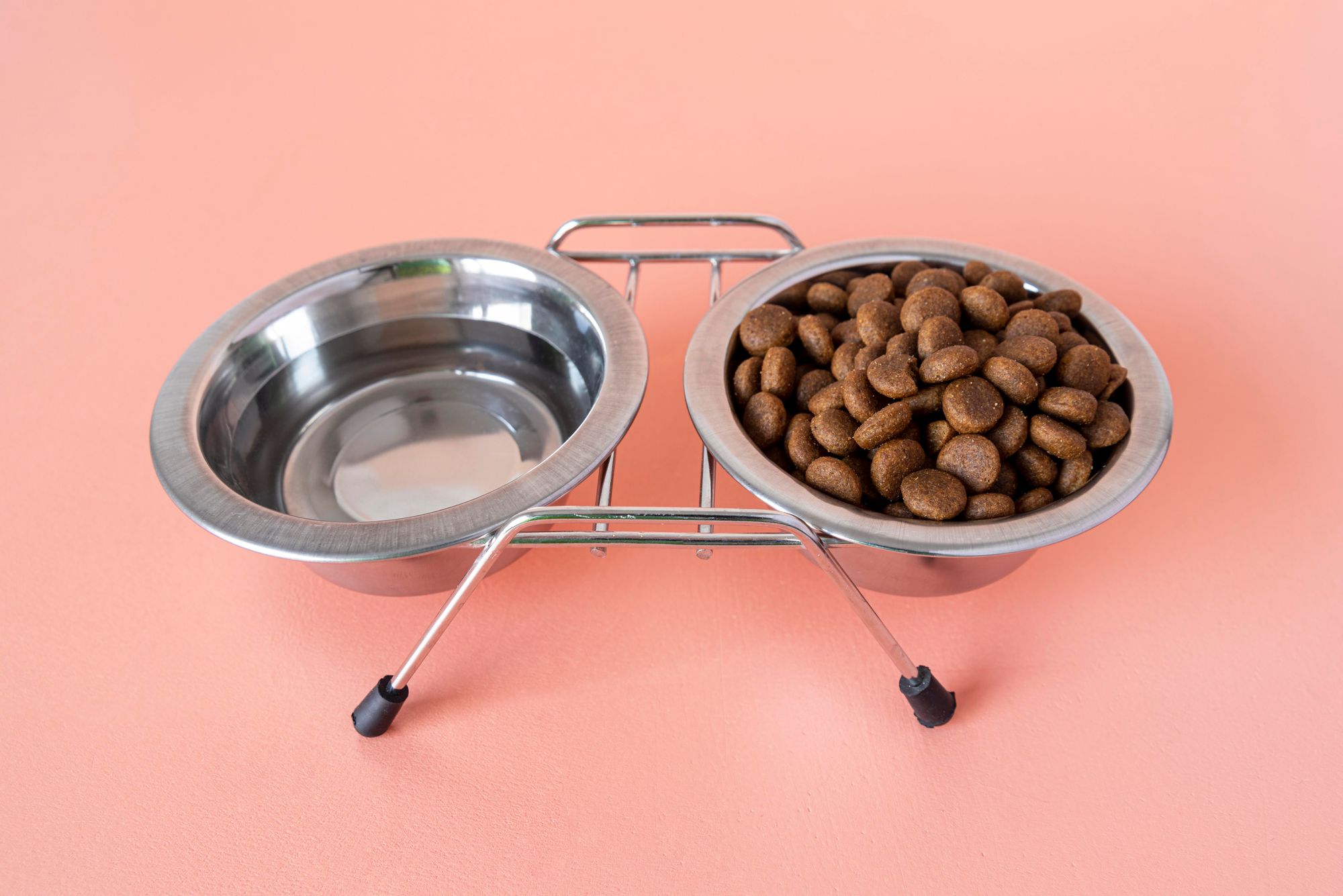 https://blog.tryfi.com/content/images/2023/09/dog-food-container.jpg