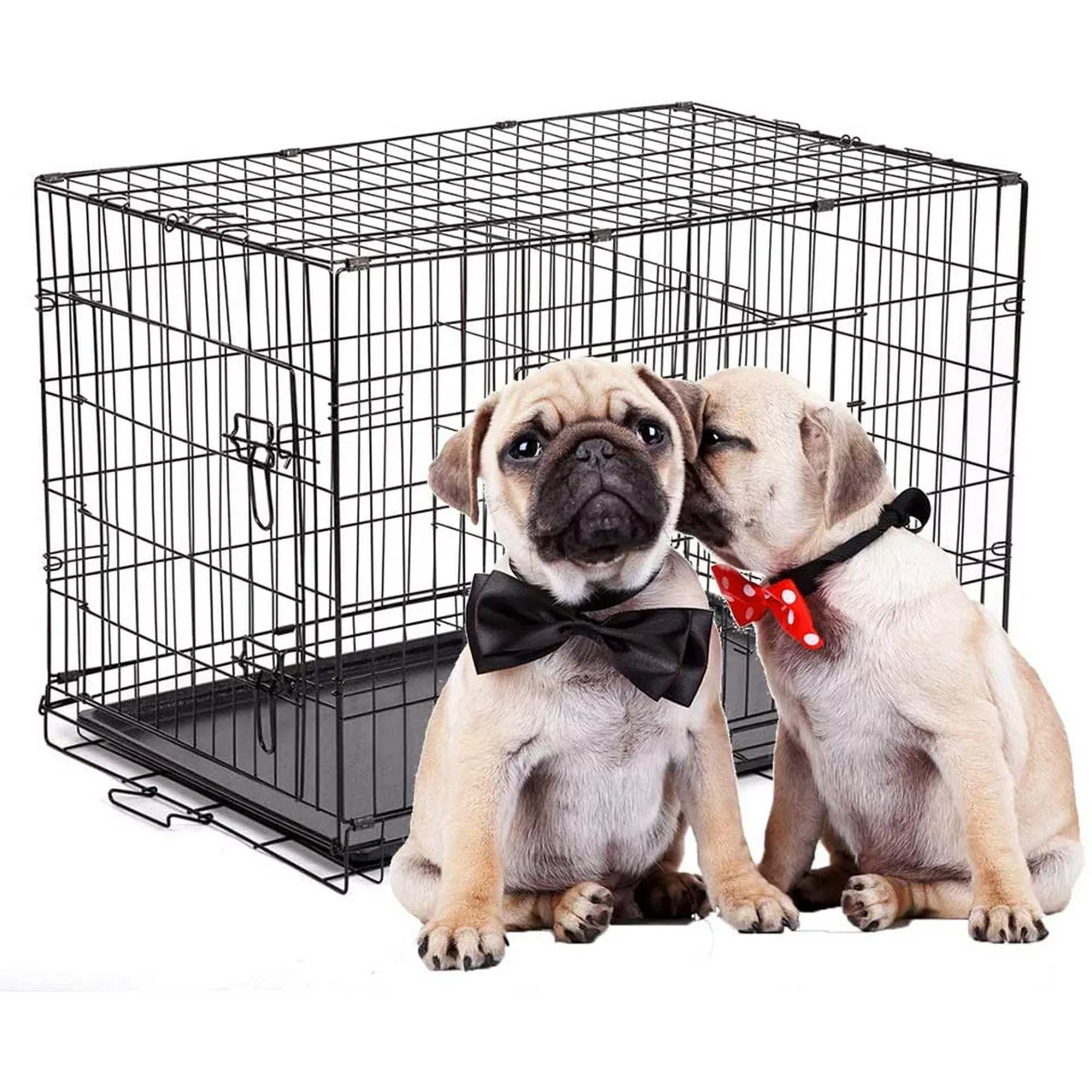 Best Dog Crates for Pugs