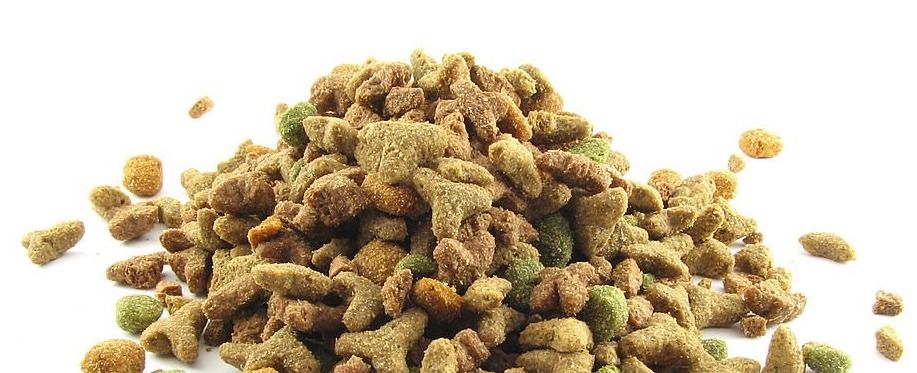 Catnip for Dogs