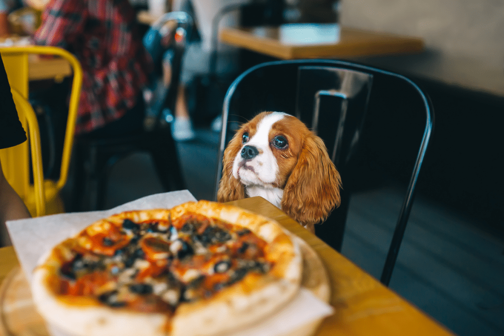 Dog-Friendly Restaurants