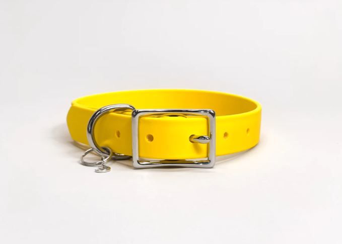 what does a yellow collar on a dog mean