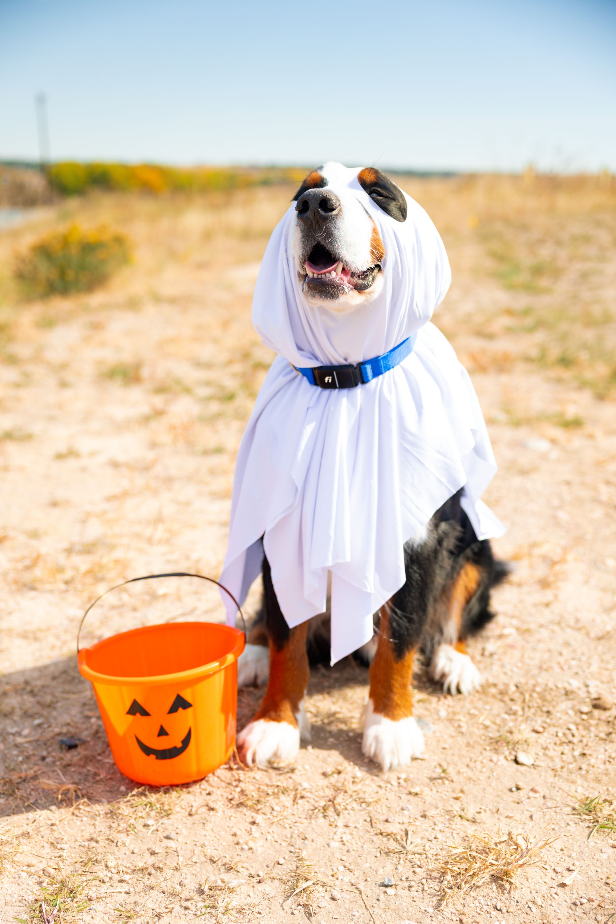 Halloween Safety Tips: Ask Dr. Jeff