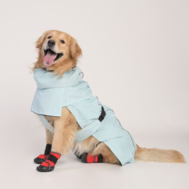 dog rain coats