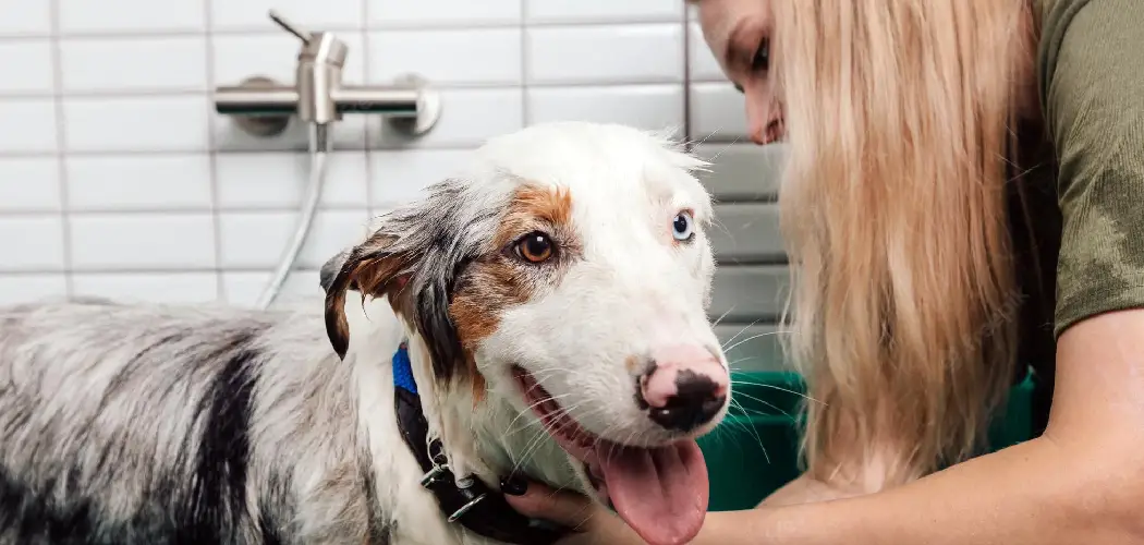 dog sap removal bath