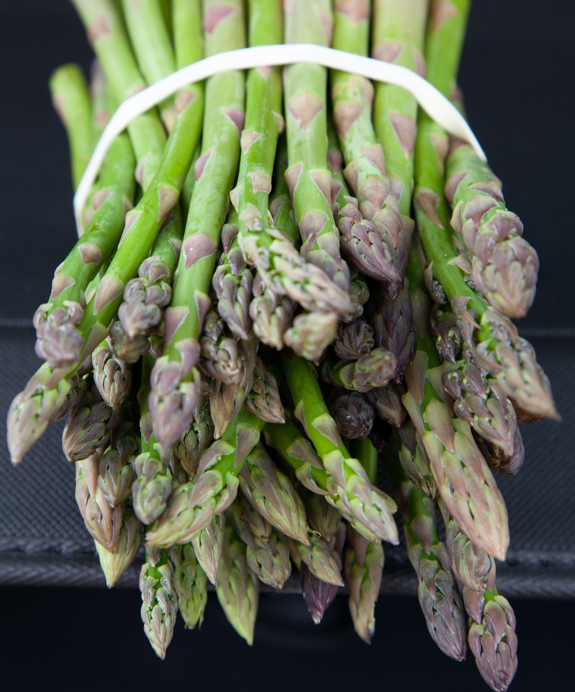 Asparagus for dogs good hotsell or bad