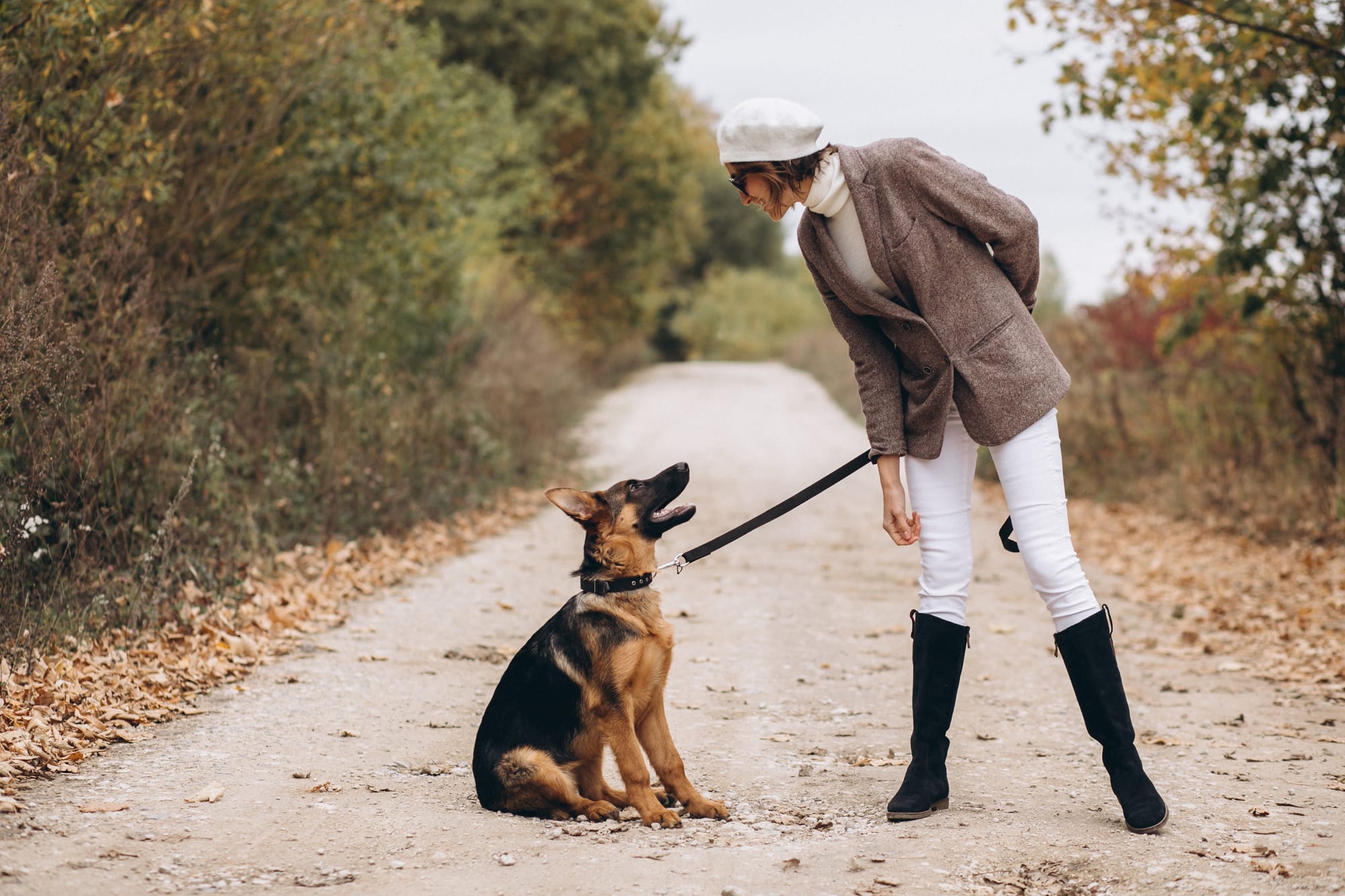 Are Treeing Walker Coonhounds Good Family Pets?