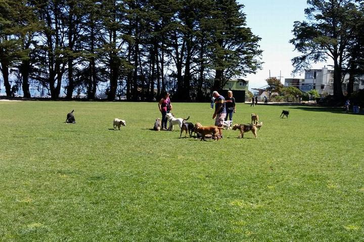 California dog parks