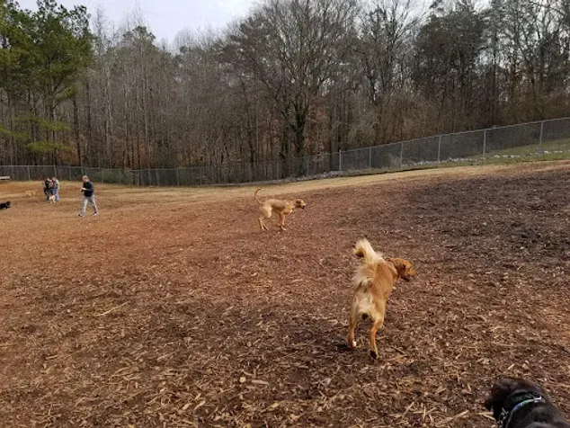 Georgia dog parks