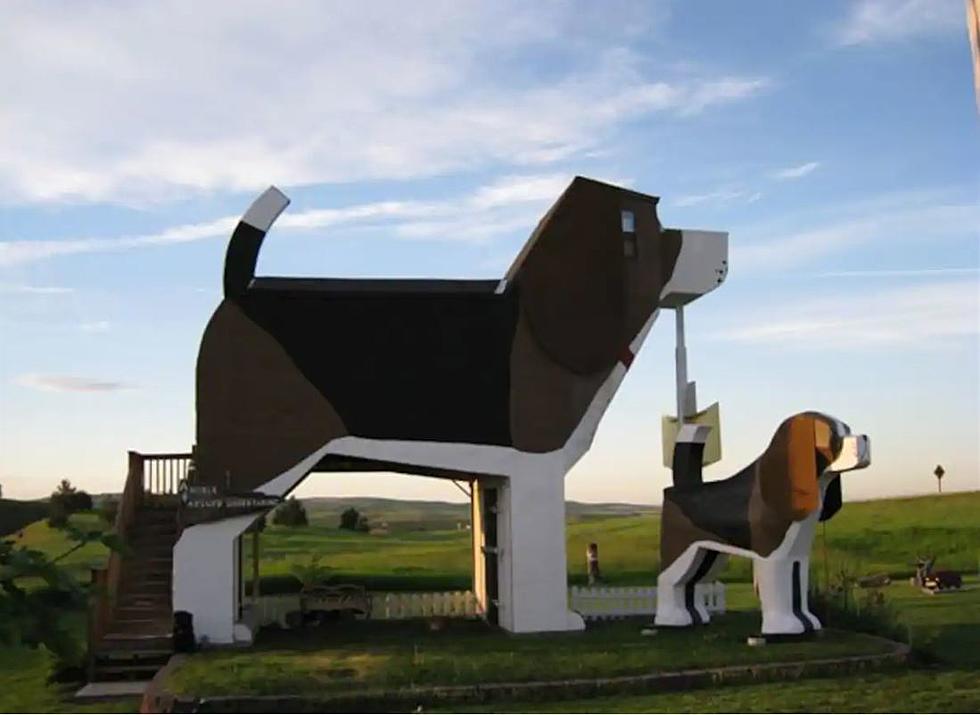 Idaho dog parks