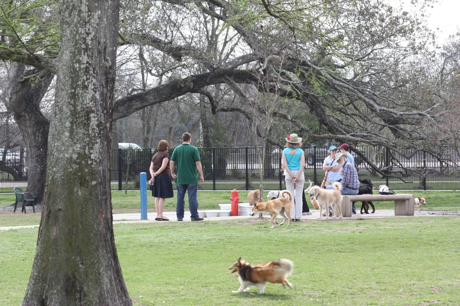 Louisiana dog parks