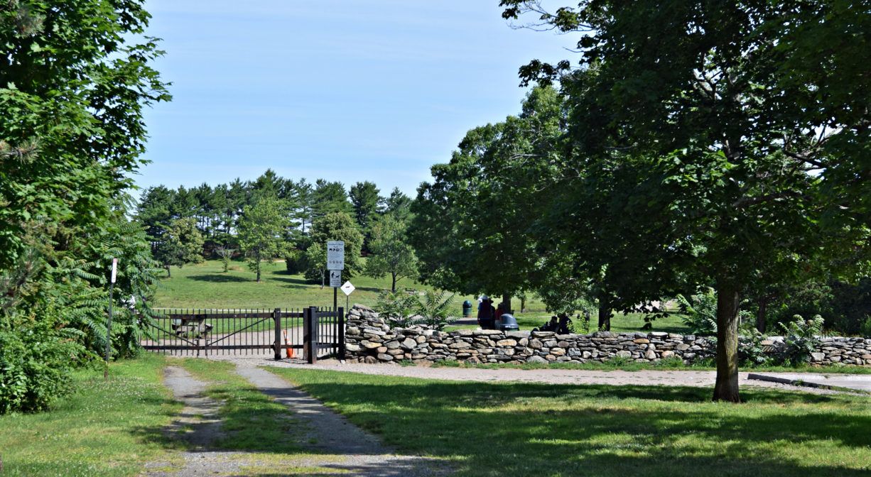 Massachusetts dog parks