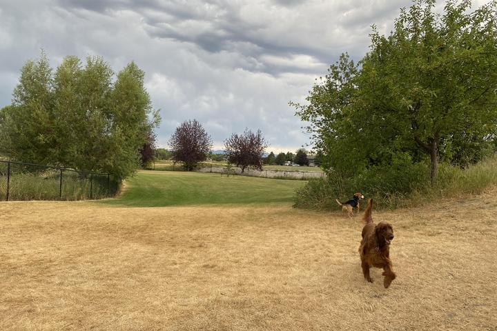 Montana dog parks