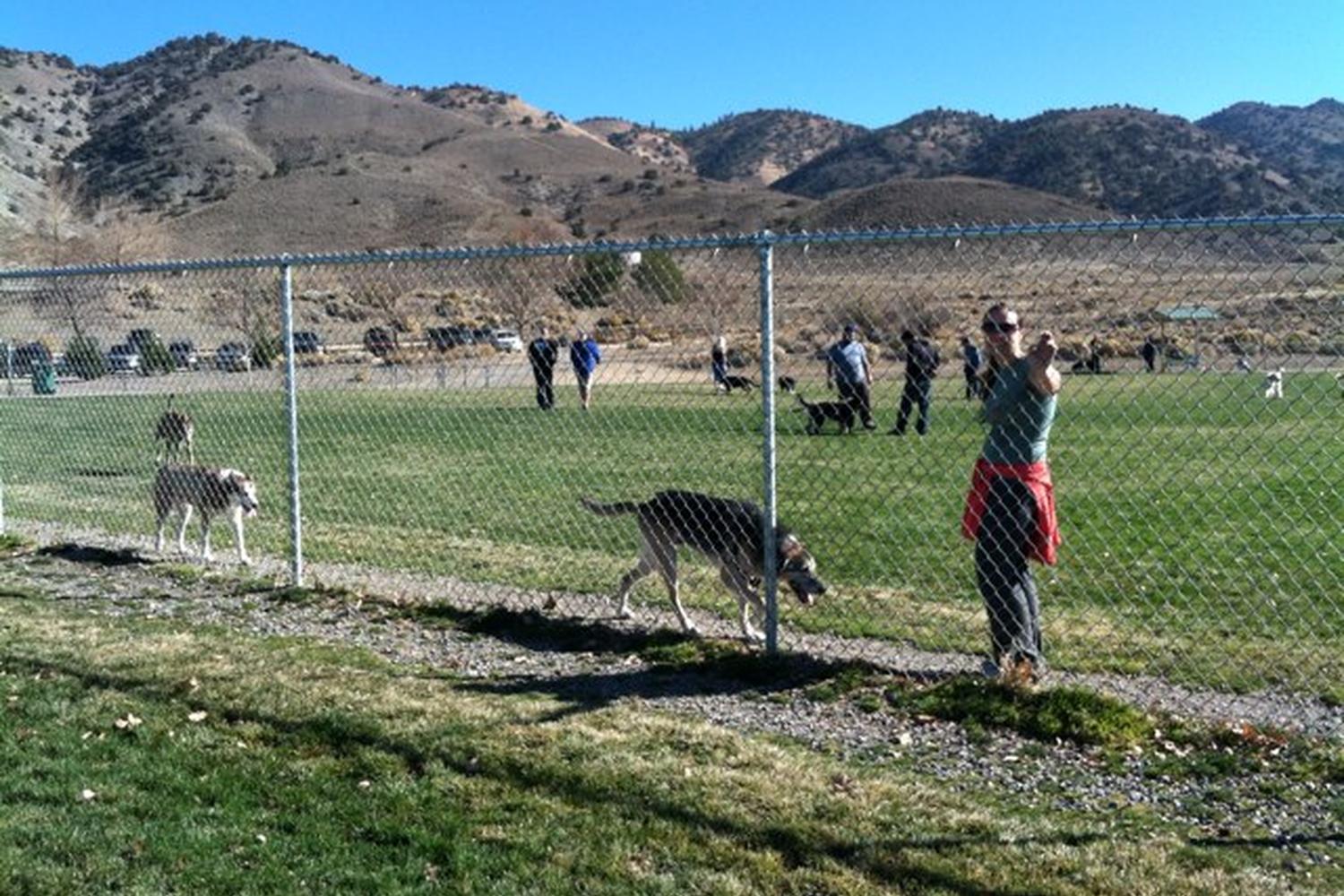 Nevada dog Parks