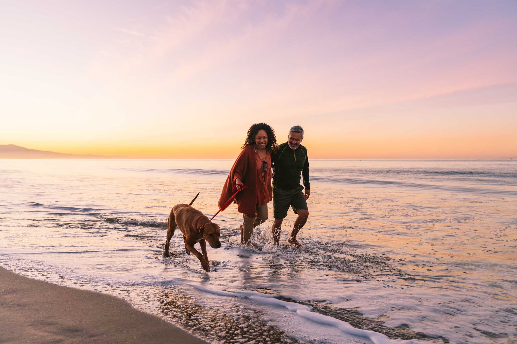 Santa Barbara's Dog-Friendly Beaches and Hikes