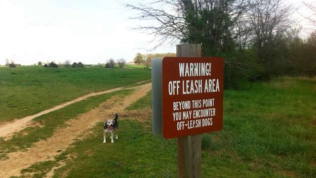 Tennessee Dog Parks