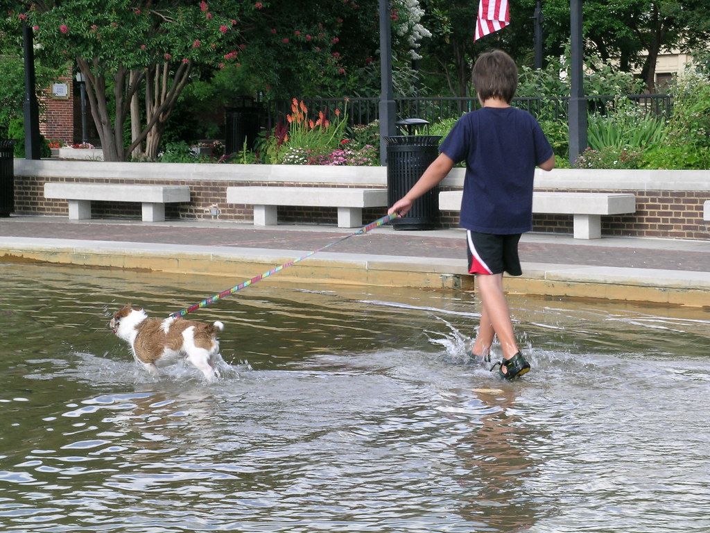 Alexandria's Dog-Friendly Delights: A Guide to Canine Fun