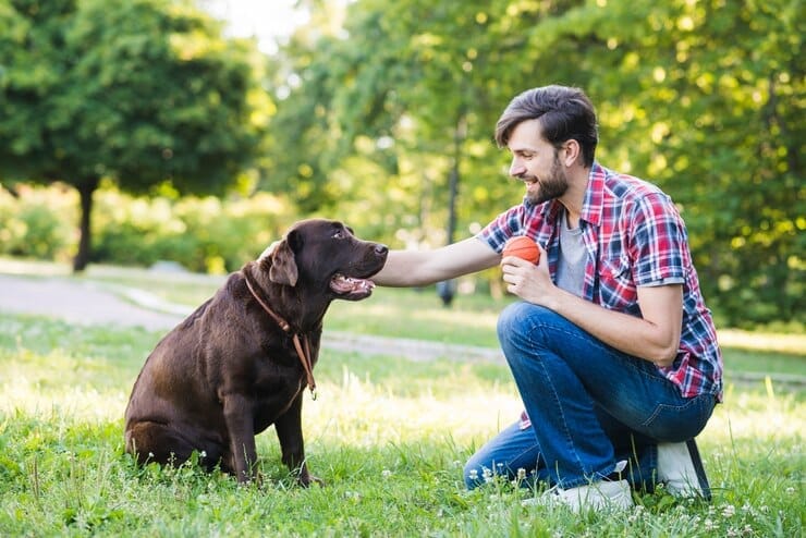 Do Dogs Understand Each Other