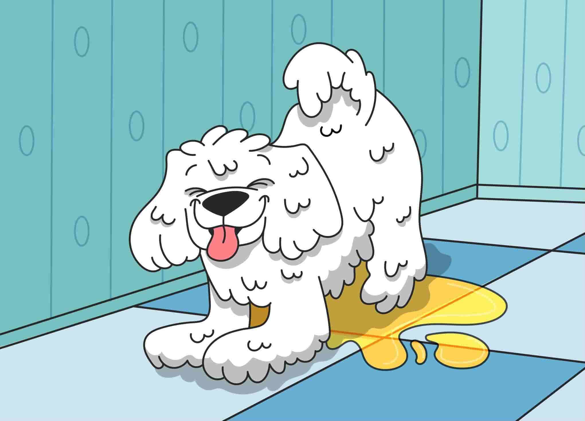 Puppy Pees When Excited