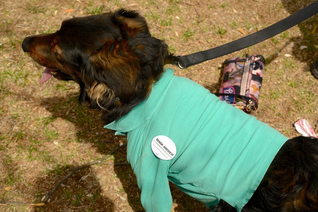 Minneapolis's Must-Visit Dog Parks: A Guide for Dog Owners