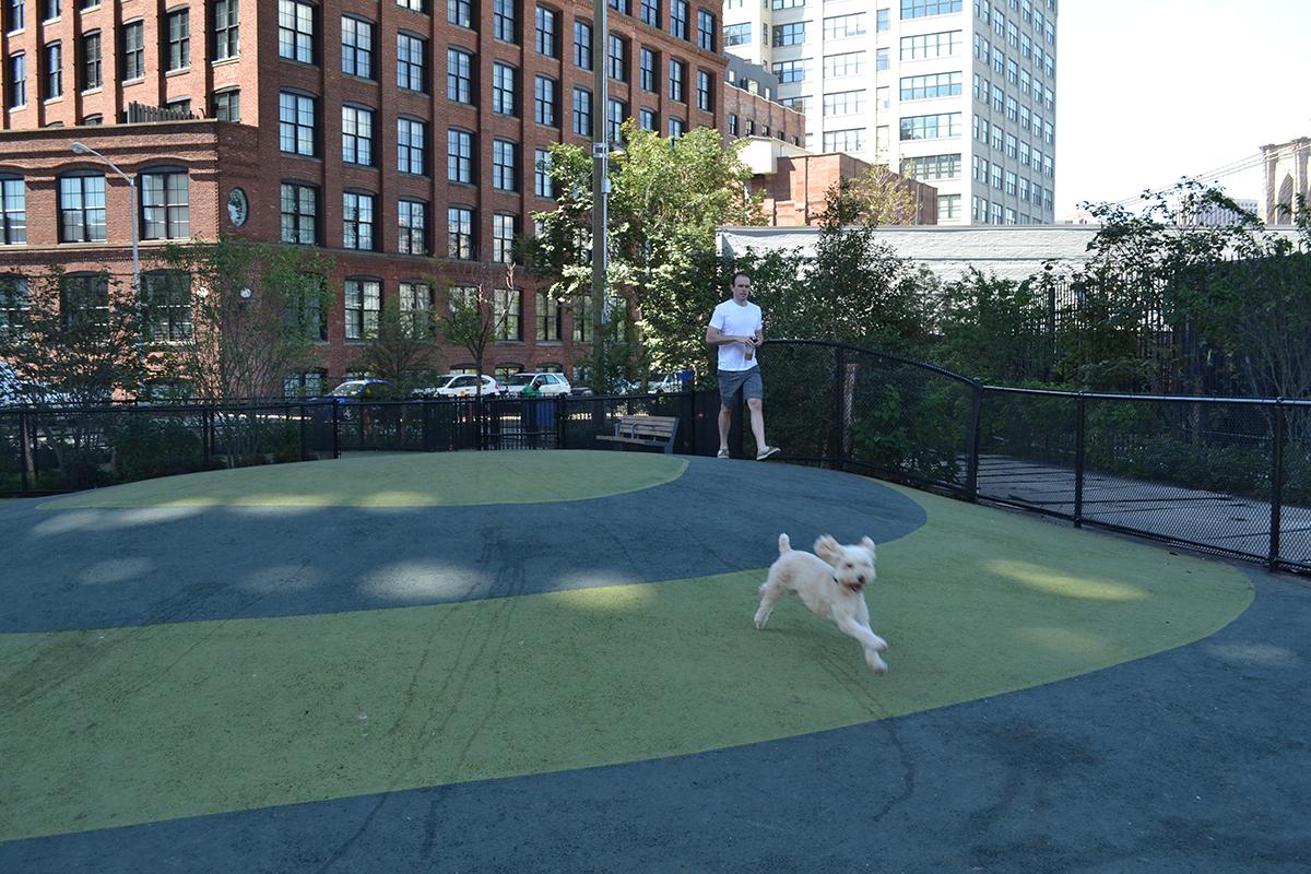 new york dog parks