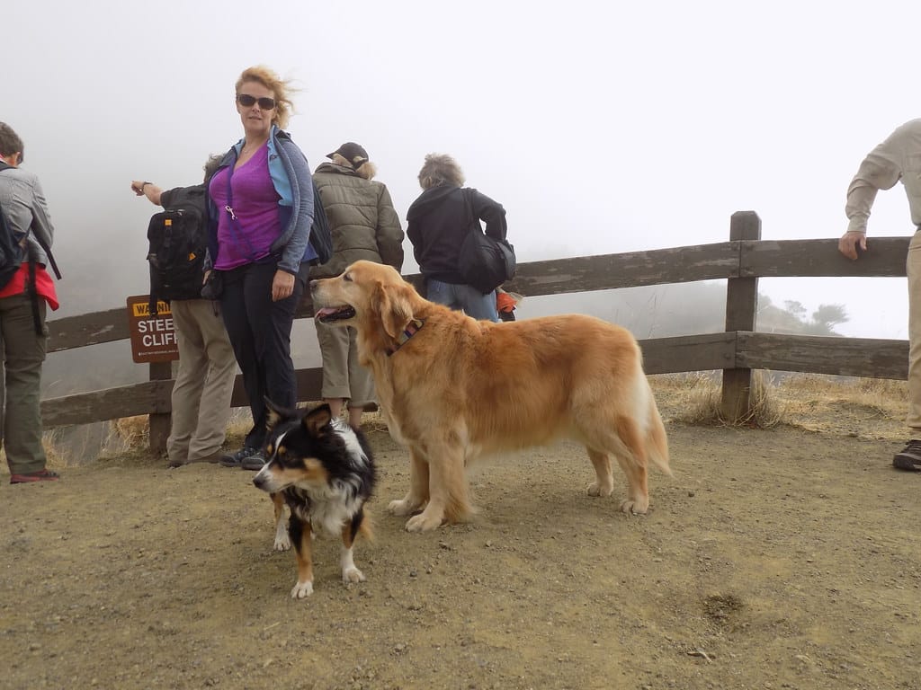 Oakland's Outdoor Dog Adventures: Urban Trails and Parks
