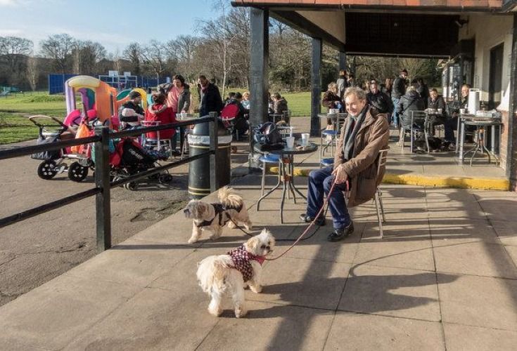 Charleston's Charming Walks: Discover Dog-Friendly Fun