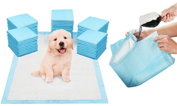 Puppy Pad Training