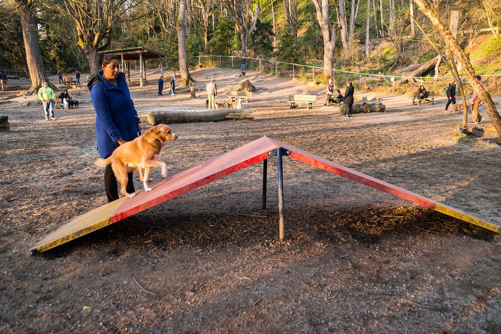 Washington dog parks