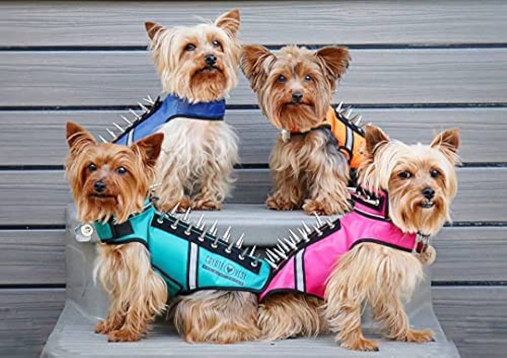 Hawk Vest for Dogs: Feathered Fashion Meets Function!