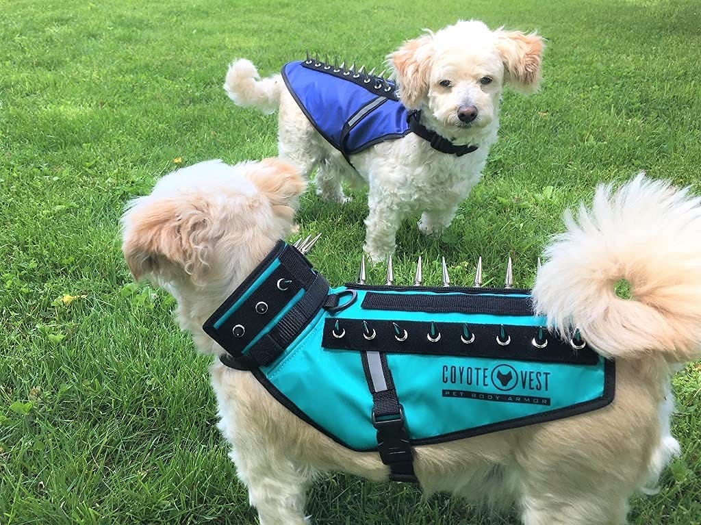 Hawk Vest for Dogs