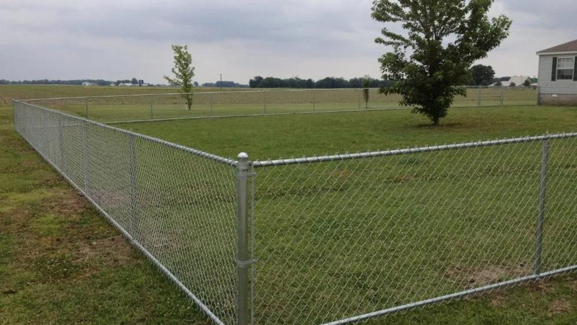 how far apart should fence posts be for dogs