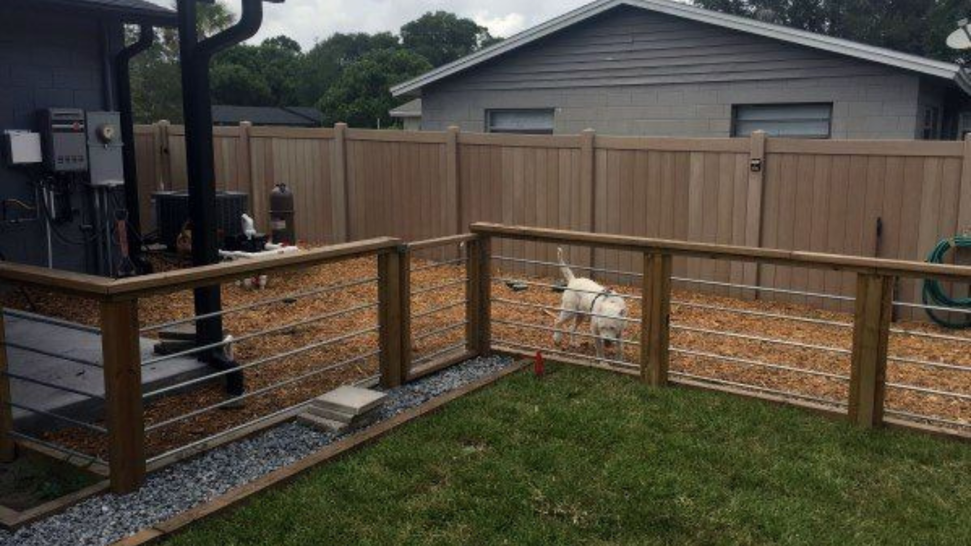how much fenced area does a dog need