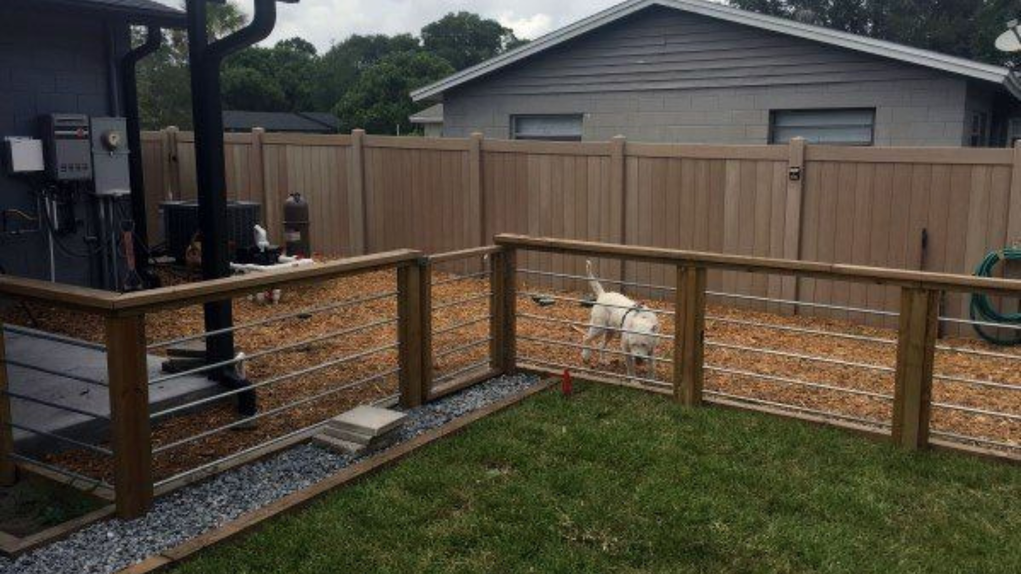 Dog deals yard fence