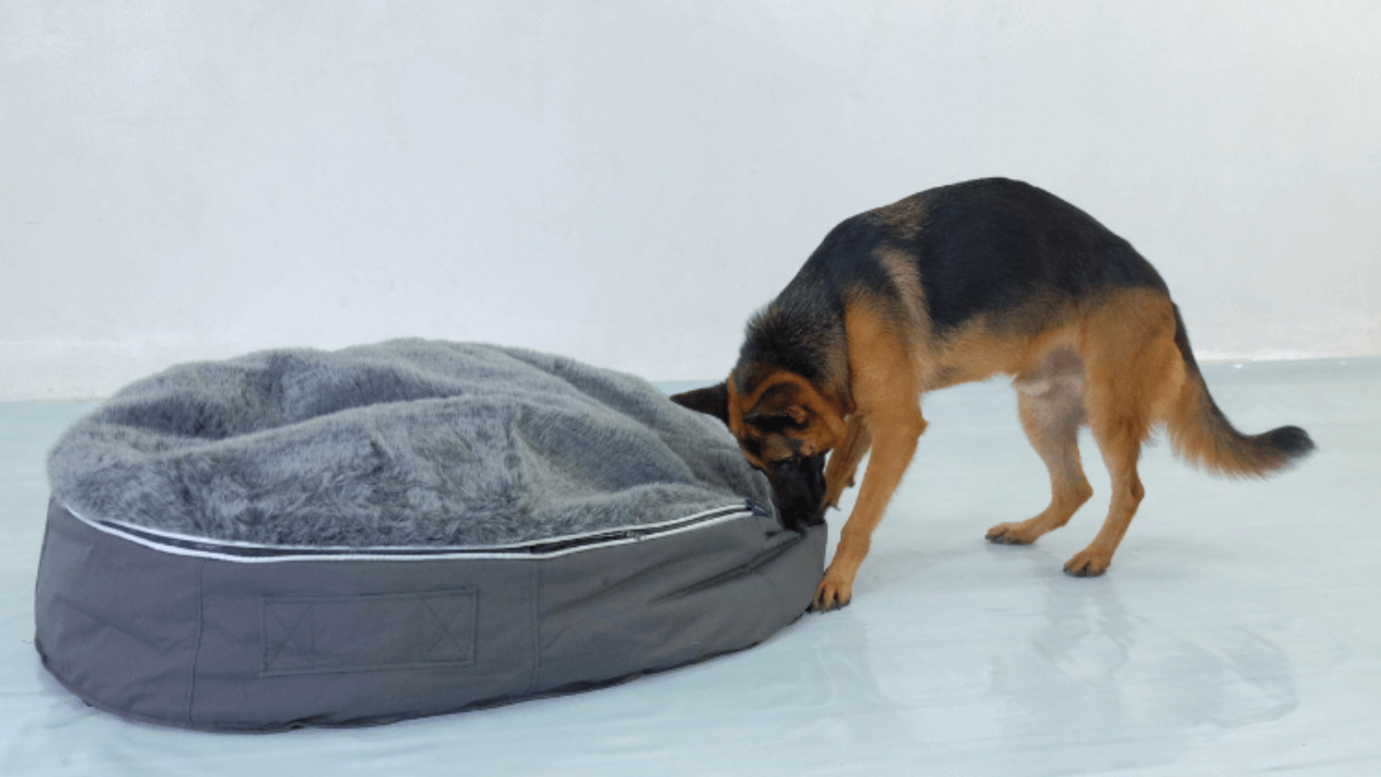 Best Dog Bed for German Shepherd