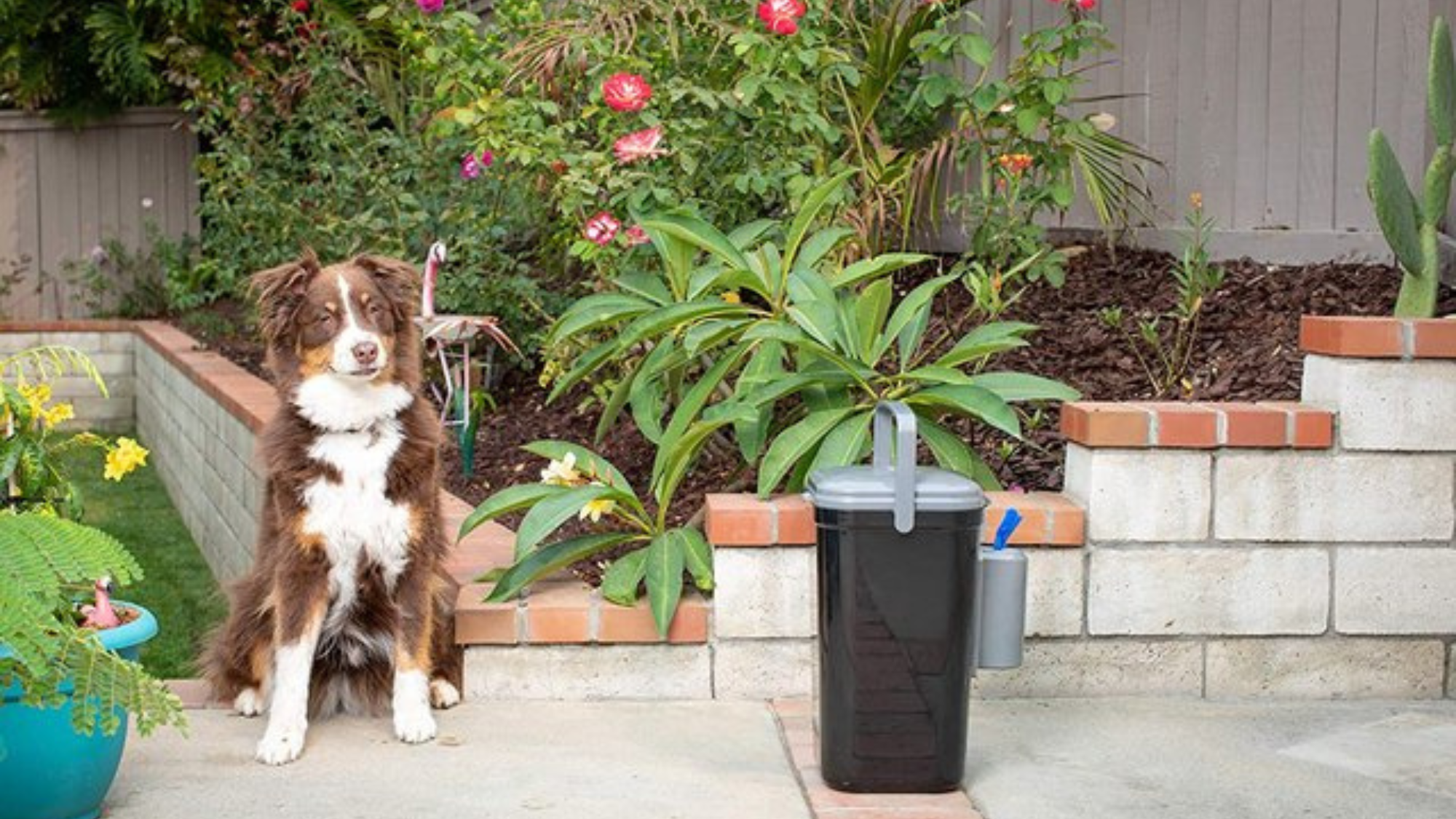 Outdoor dog poop trash can