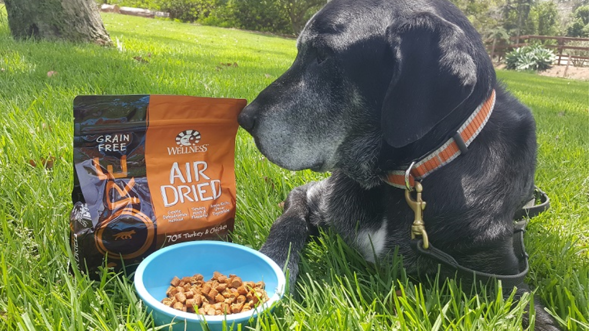 Air Dried Dog Food