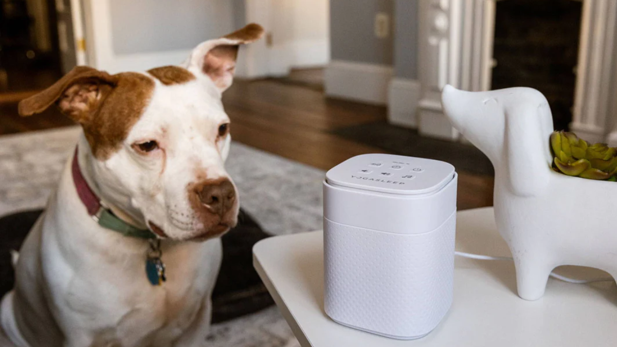 White Noise Machine for Dogs