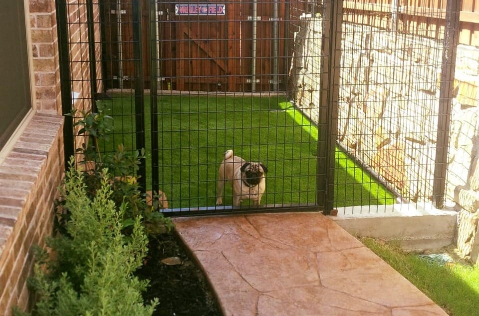 how much fenced area does a dog need