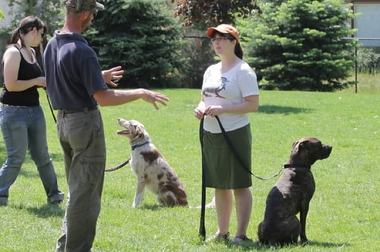 Easiest Dogs to House Train