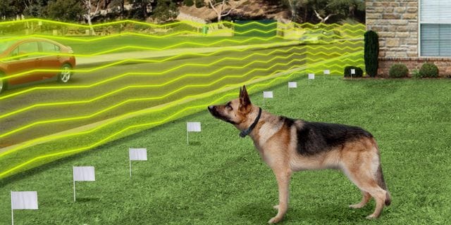 Exploring the Basics: What is an Electric Dog Fence?
