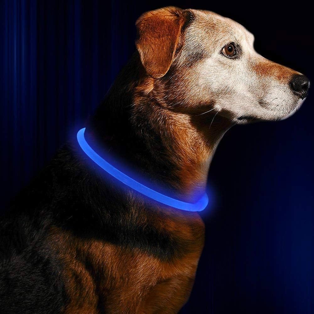 Dog Light Up Collar A Safe Stylish Accessory for Your Pet