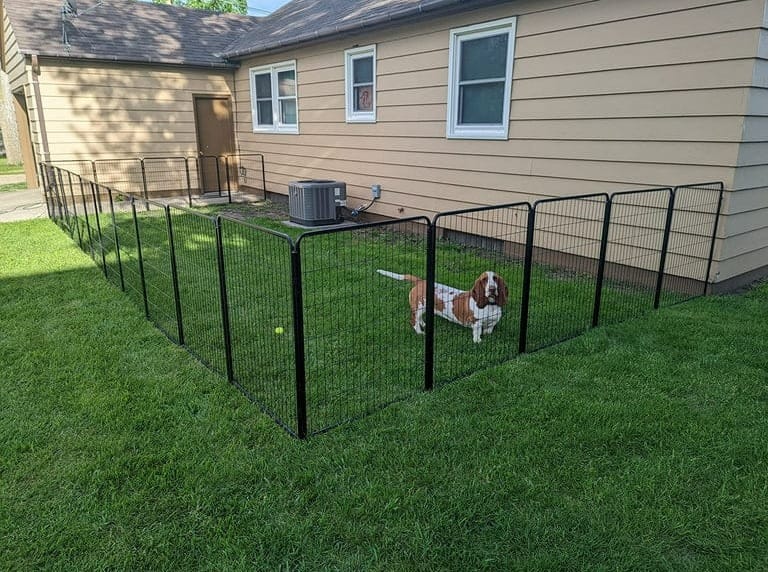 Backyard Temporary Fence for Dog