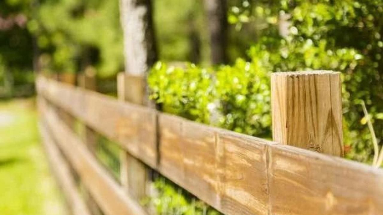 Cheap Front yard fence for dogs